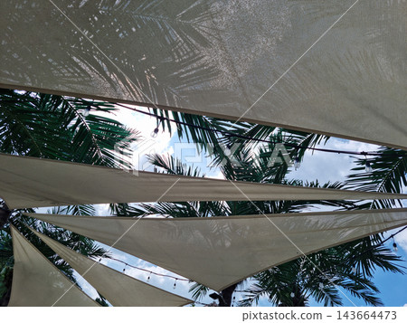 It is a tent covering palm trees. It is a tent covering palm trees. 143664473