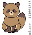 Tanuki illustration 2 143664848