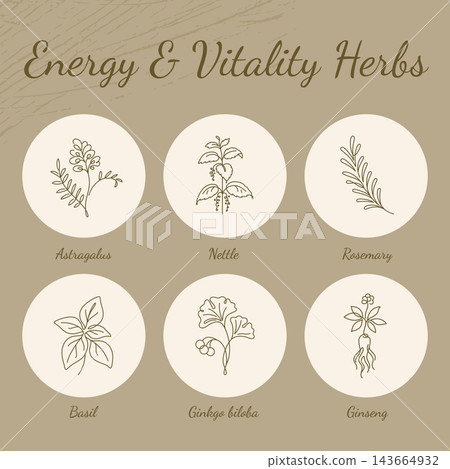 Energy and Vitality Herbs Line Art Icons Infographic Energy and Vitality Herbs Line Art Icons Infographic 143664932