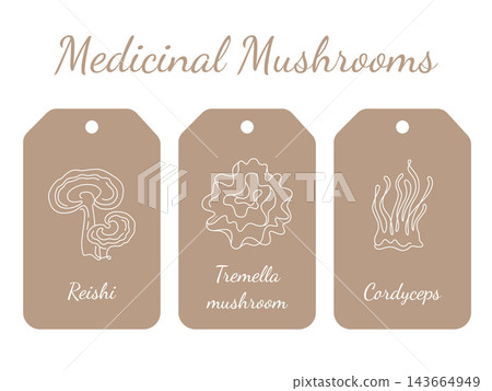 Medicinal Mushrooms Illustration with Reishi, Tremella, and Cordyceps on Tags 143664949