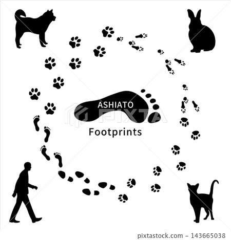 Set of 4 animal footprint/paw print silhouettes (dog, cat, rabbit, human) - monochrome Set of 4 animal footprint/paw print silhouettes (dog, cat, rabbit, human) - monochrome 143665038