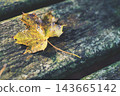 Single yellow autumn leaf with dew on weathered wooden surface Single yellow autumn leaf with dew on weathered wooden surface 143665142