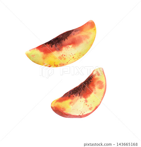 Two juicy peach wedges without pits, painted in realistic watercolor with warm orange and pink tones, for food illustrations, recipes and summer design projects Two juicy peach wedges without pits, painted in realistic watercolor with warm orange and pink tones, for food illustrations, recipes and summer design projects 143665168
