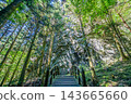 一座木拱橋橫跨群馬縣小持山上的山路，穿過綠樹成蔭的山路，橋下是屏風岩。 143665660