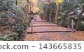 The approach to Hakusan Hime Shrine, adorned with autumn leaves. 143665835