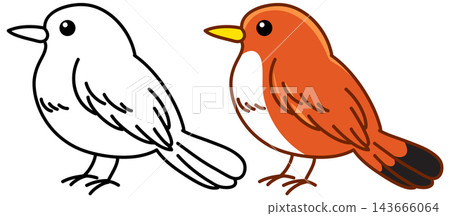 Cute Cartoon Robin Bird Vector Outline and Colored Illustration Cute Cartoon Robin Bird Vector Outline and Colored Illustration 143666064