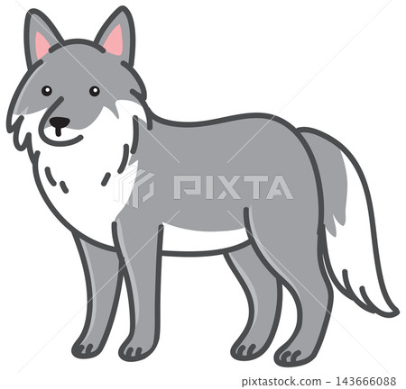 Cute Grey Wolf Vector Doodle Illustration Isolated on White Background 143666088