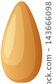 Single Pine Nut Kernel Vector Illustration on White Background 143666098