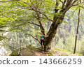 Rear view of a female hiker in activewear resting hand on a large tree trunk on a cliff edge, overlooking a vast, dense mountain forest in summer 143666259