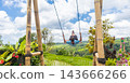 Happy sporty male traveller swinging on wooden swing, enjoying summer vacation in pristine green nature at Jatiluwih rice terraces on Bali, Indonesia. Freedom and life enjoying concept. 143666266