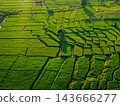 Beautiful sunrise over green rice fields and mountain landscape in countryside 143666277