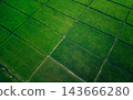 Beautiful sunrise over green rice fields and mountain landscape in countryside 143666280