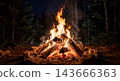 Bonfire 143666363