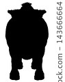 Silhouette Of Wild Boar 143666664