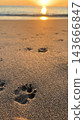 The foot of the sandy beach 143666847