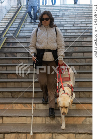 A blind woman with a guide dog descends into the subway. A blind woman with a guide dog descends into the subway. 143667511