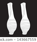 Minimalist vector illustration of fresh taro roots 143667559