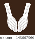 Minimalist vector illustration of fresh taro roots 143667560