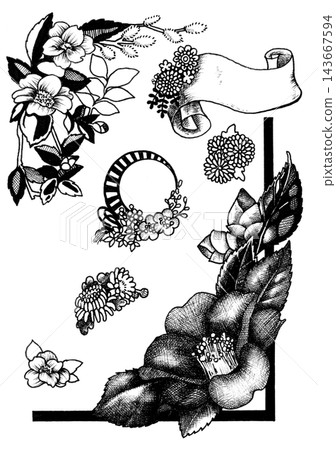 Hand-drawn plant illustrations and plant frames Hand-drawn plant illustrations and plant frames 143667594