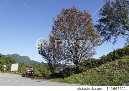 從長野縣小川村的阿爾卑斯山展望台停車場沿著縣道前往廣場的路標,以及剛開始變色的樹木。 從長野縣小川村的阿爾卑斯山展望台停車場沿著縣道前往廣場的路標,以及剛開始變色的樹木。 143667821