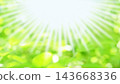 鮮嫩的綠葉，陽光透過樹葉灑下，16:9 143668336