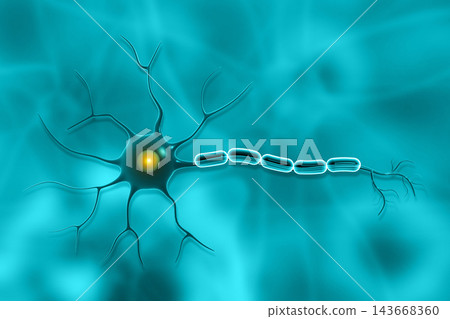 Motor neuron cell 143668360