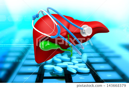 Human liver with a stethoscope. Online Treatment and diagnostics of liver Human liver with a stethoscope. Online Treatment and diagnostics of liver 143668379