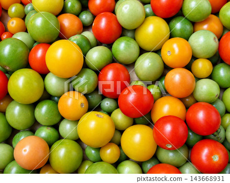 Colorful Fresh Tomatoes in Red, Green, Yellow and Orange Colorful Fresh Tomatoes in Red, Green, Yellow and Orange 143668931