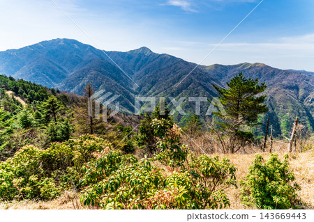 【劍山國定公園】初夏的泊丸健行路線:日本仙女座花和劍山、次龍、丸石連峰 - 德島縣三好市 【劍山國定公園】初夏的泊丸健行路線:日本仙女座花和劍山、次龍、丸石連峰 - 德島縣三好市 143669443