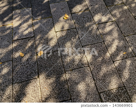 On an autumn afternoon, the shadows of trees are cast on the cobblestones. On an autumn afternoon, the shadows of trees are cast on the cobblestones. 143669901