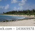 Tropical beach with palm trees and turquoise ocean waves 143669978