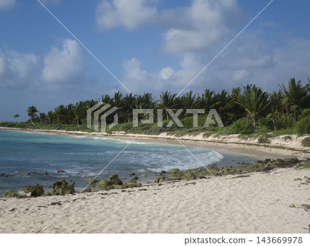 Tropical beach with palm trees and turquoise ocean waves 143669978