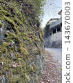 Slope, moss, 143670003