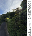Path, hedge 143670004