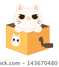 Cute White Kitten inside a Yellow Music Box with Crank Handle 143670480