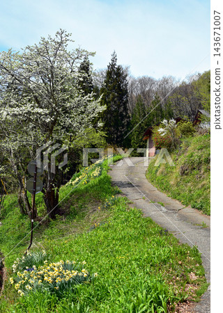 Togakushi in spring: A peaceful scene Togakushi in spring: A peaceful scene 143671007