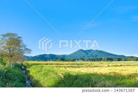 Nasushiobara City, Tochigi Prefecture: A landscape of golden rice fields and Mount Nasu. Nasushiobara City, Tochigi Prefecture: A landscape of golden rice fields and Mount Nasu. 143671387