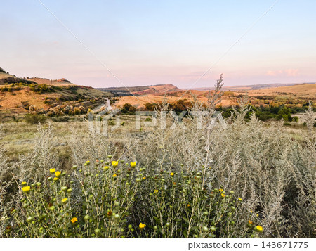 Yellow wildflowers and silvery grasses overlooking a sunlit valley Yellow wildflowers and silvery grasses overlooking a sunlit valley 143671775
