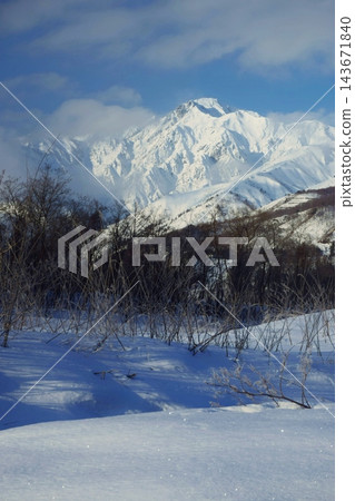 從白馬村眺望冬日的五龍山 從白馬村眺望冬日的五龍山 143671840
