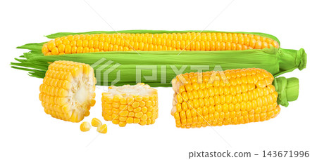 ear of corn isolated on a white background with full depth of field ear of corn isolated on a white background with full depth of field 143671996