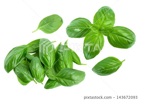 Fresh basil leaf isolated on white background with full depth of field. Top view. Flat lay Fresh basil leaf isolated on white background with full depth of field. Top view. Flat lay 143672093