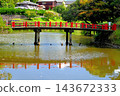 The Gathering Bridge over the pond in the iris garden 143672333