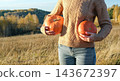 Close up of woman in cozy knitted sweater holding two orange pumpkins in autumn field. Rustic harvest, thanksgiving and Halloween concept 143672397