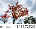 Late Autumn Park 143672525