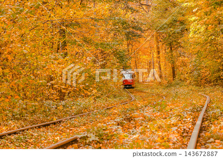 Autumn forest through which the tram travels, Kyiv and rails Autumn forest through which the tram travels, Kyiv and rails 143672887