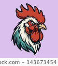 Aggressive Rooster Cock Fighting Bird Vector Illustration 143673454