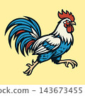 Aggressive Rooster Cock Fighting Bird Vector Illustration 143673455