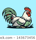 Aggressive Rooster Cock Fighting Bird Vector Illustration 143673456