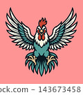 Aggressive Rooster Cock Fighting Bird Vector Illustration 143673458