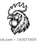 Aggressive Rooster Cock Fighting Bird Vector Illustration 143673459